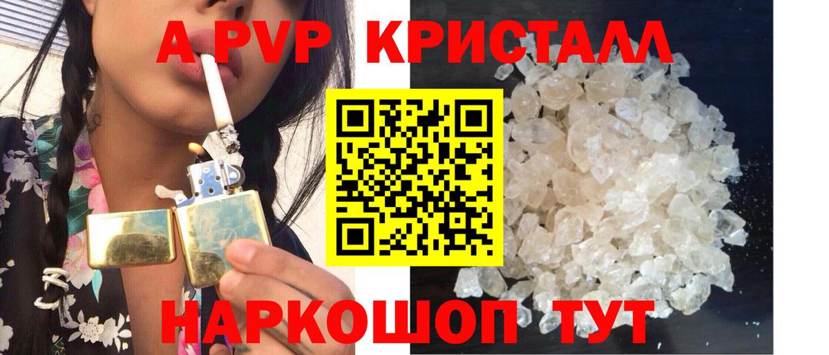 A PVP СК Сунжа