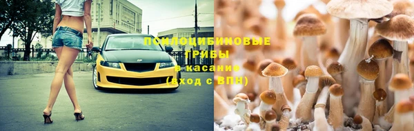 ПСИЛОЦИБИНОВЫЕ ГРИБЫ Алексин