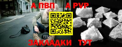 амф Гусев