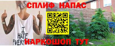 амф Гусев